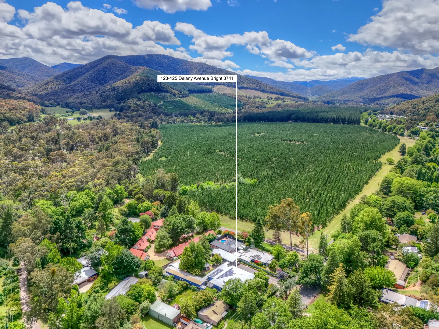 Additional image 31 of 123 Delany Avenue, Bright VIC 3741