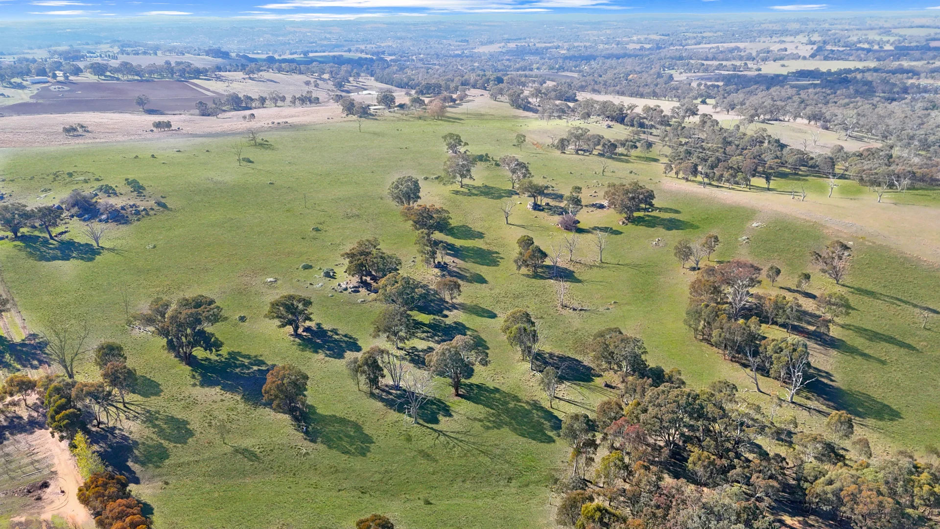 Additional image 17 of Young NSW 2594