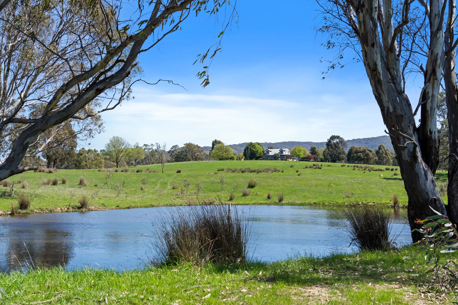 Additional image 21 of 801 Midland Link Highway, Maindample VIC 3723