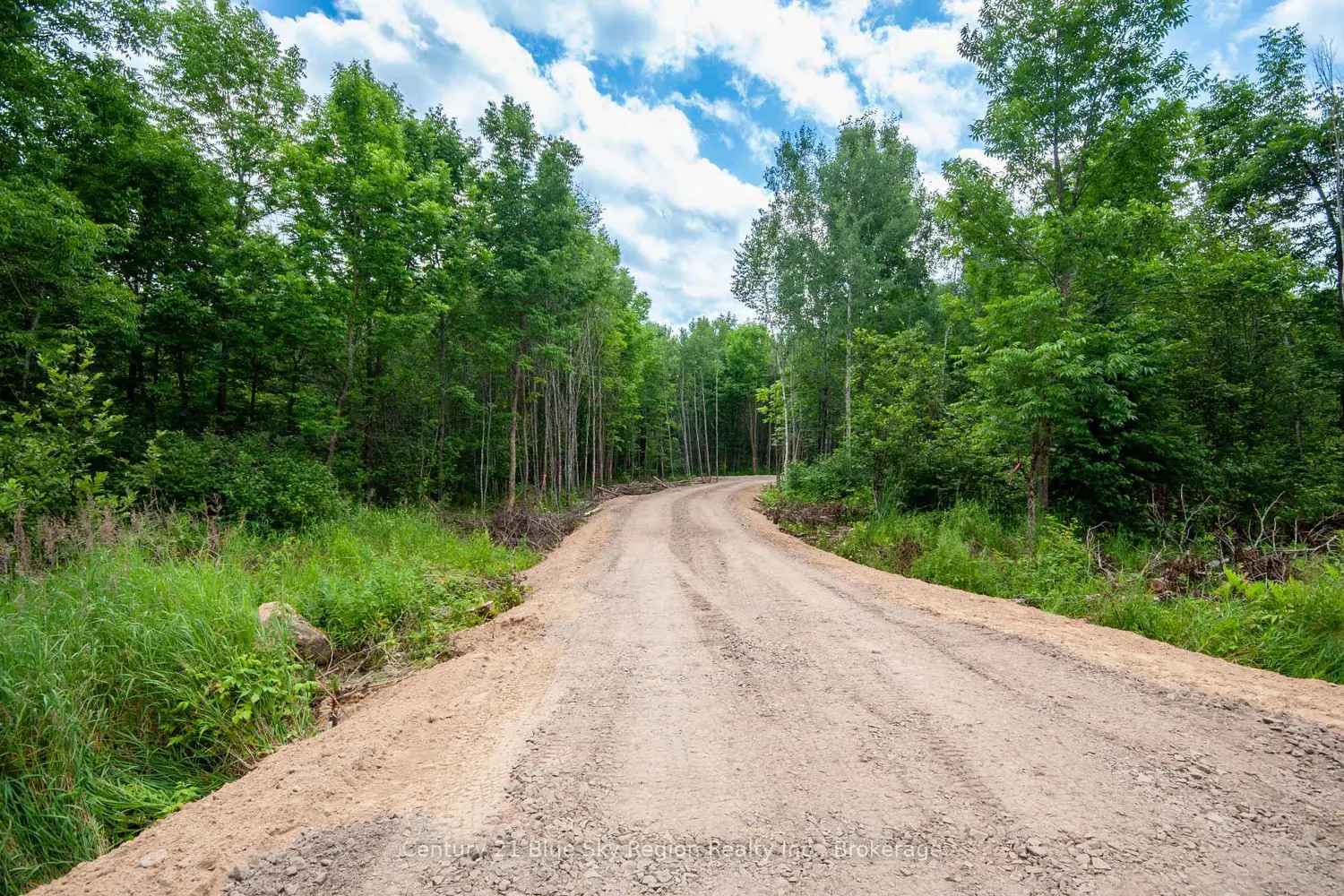 Additional image 5 of 249 Hills Siding Road