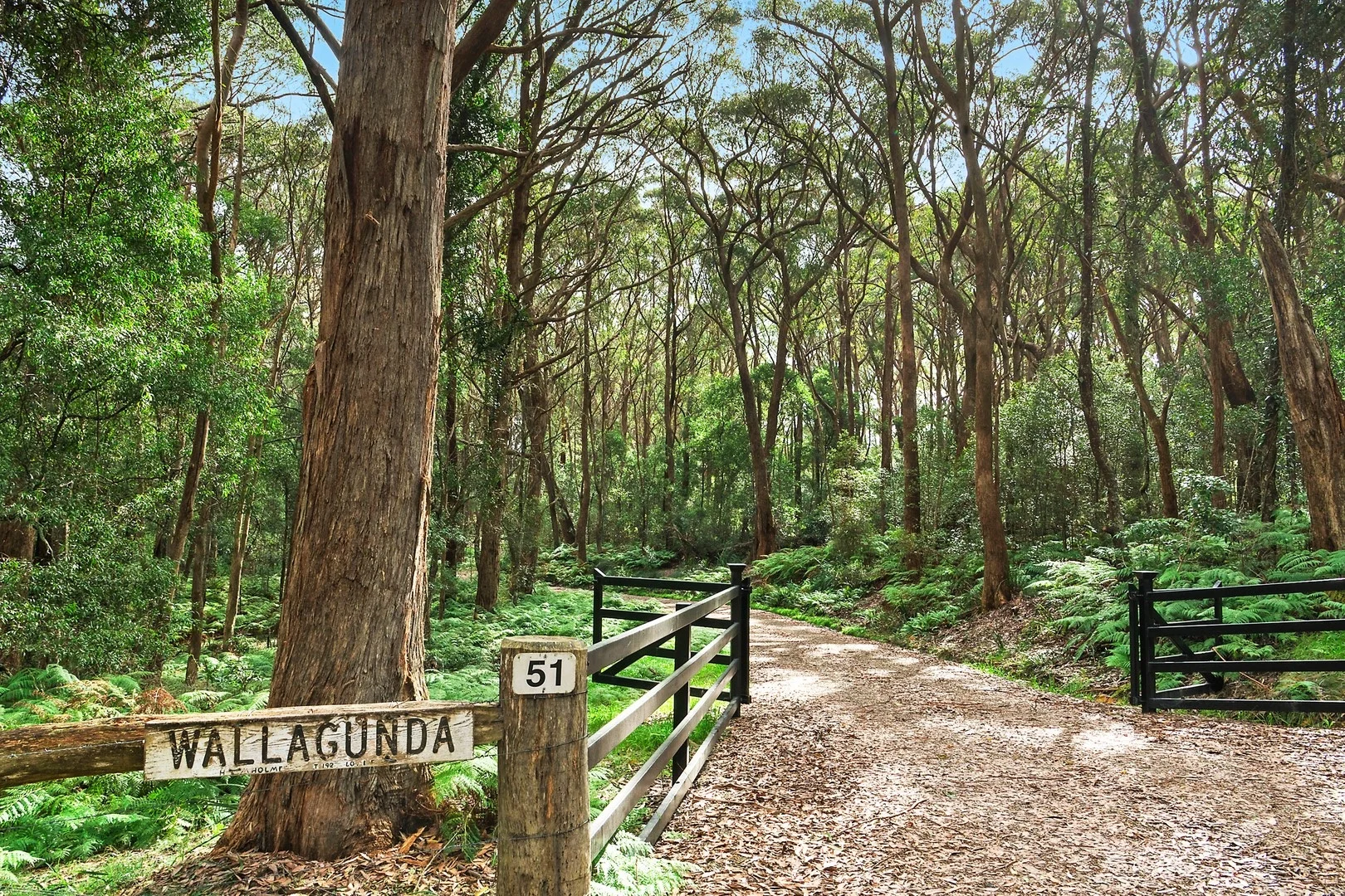 Additional image 29 of 51 & 53 Shierlaw Road, Robertson NSW 2577