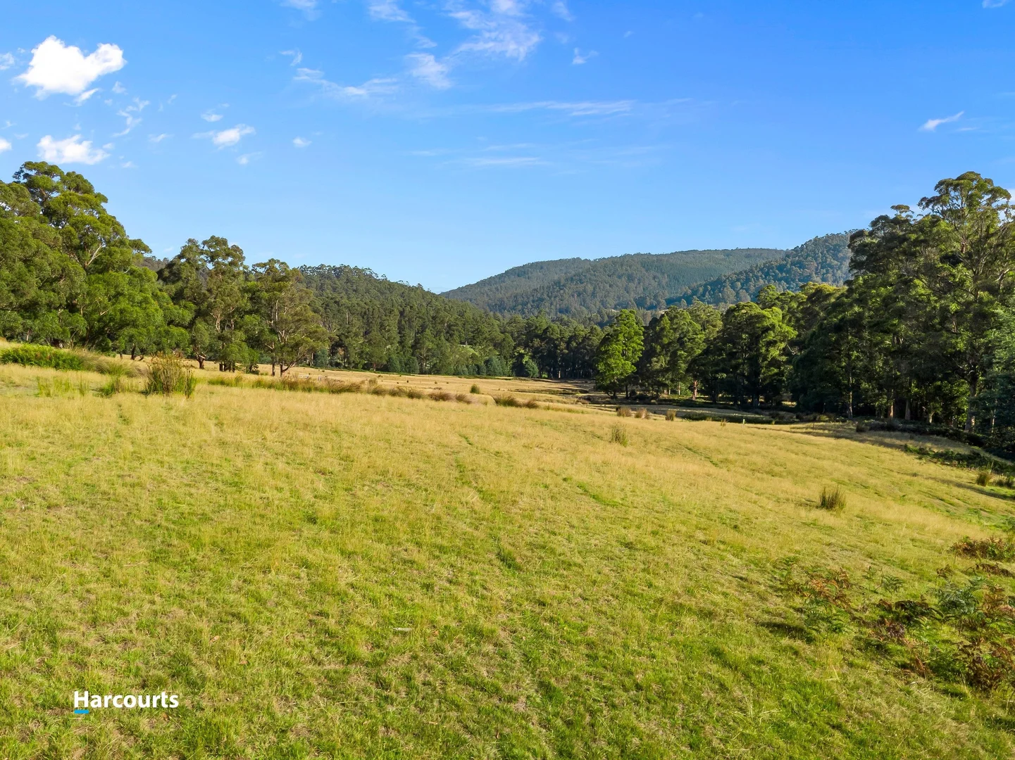 Additional image 5 of 90 Caseys Road, Nicholls Rivulet TAS 7112