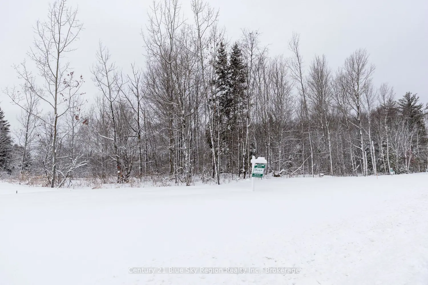 Additional image 7 of Lot 2 Larocque Road