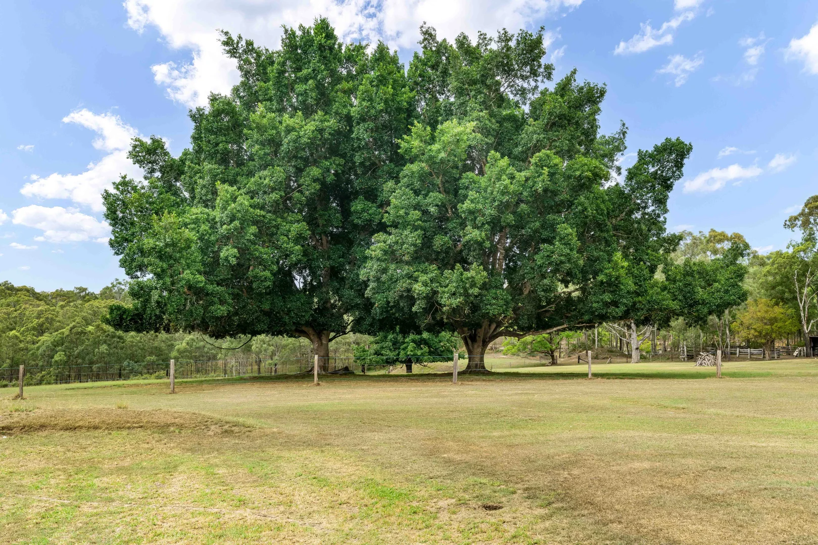 Additional image 2 of 427 Wollombi Road, Farley NSW 2320