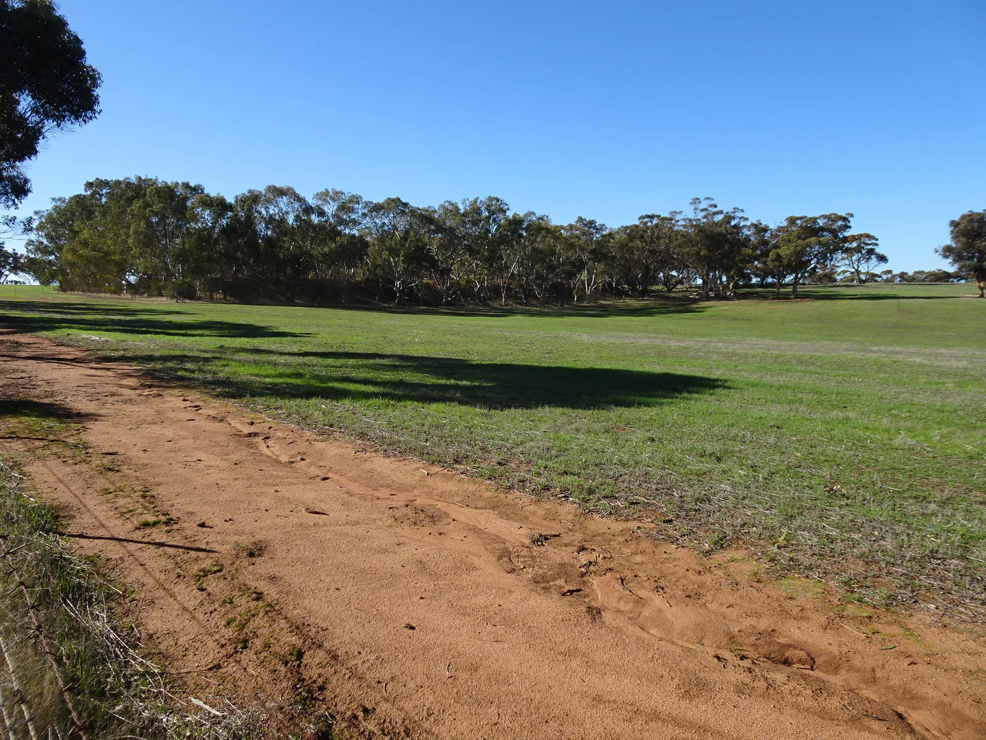 Additional image 18 of Shaddick Road, East Pingelly WA 6308
