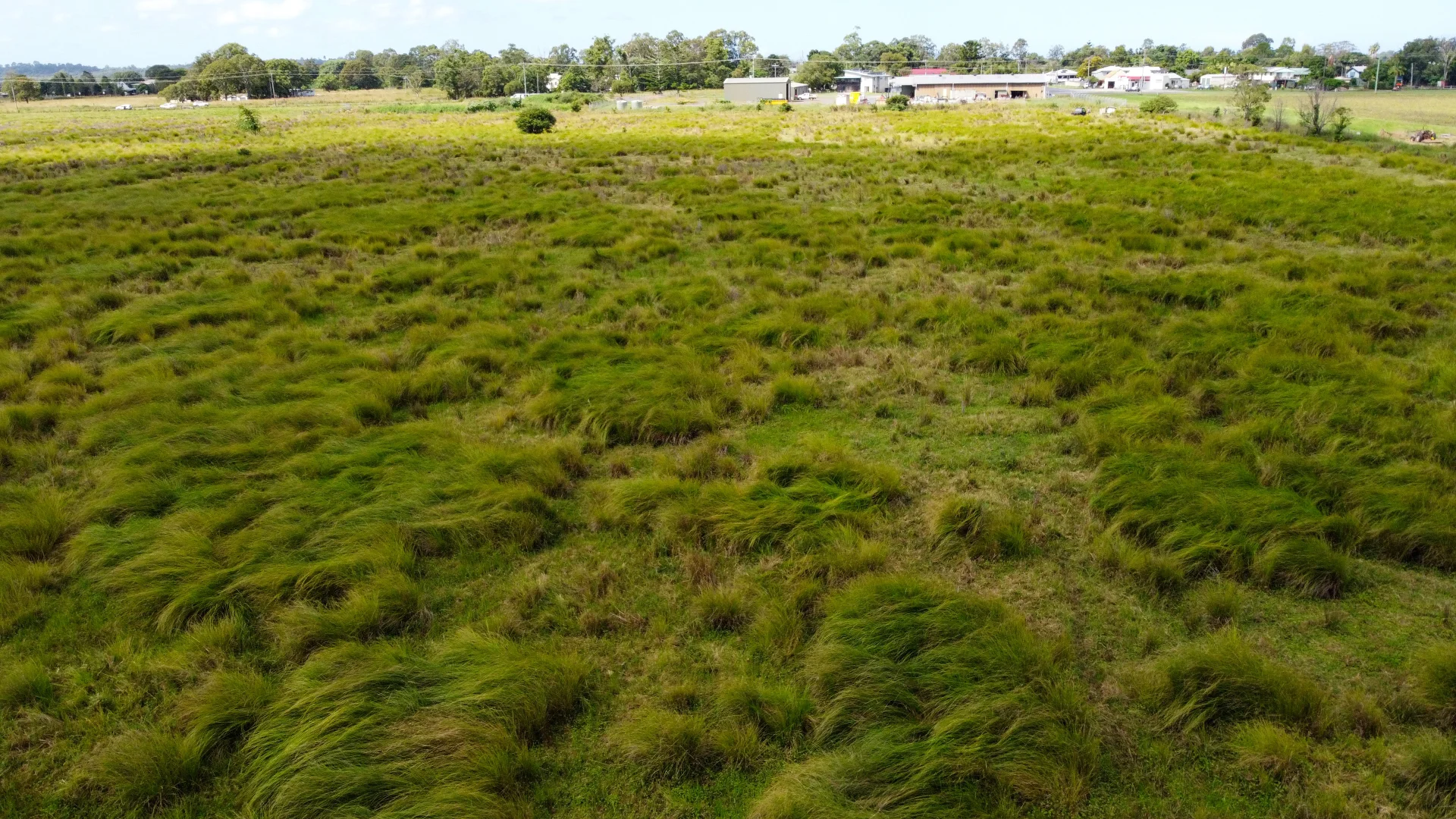 Additional image 5 of 1775 Casino Coraki Road, Coraki NSW 2471