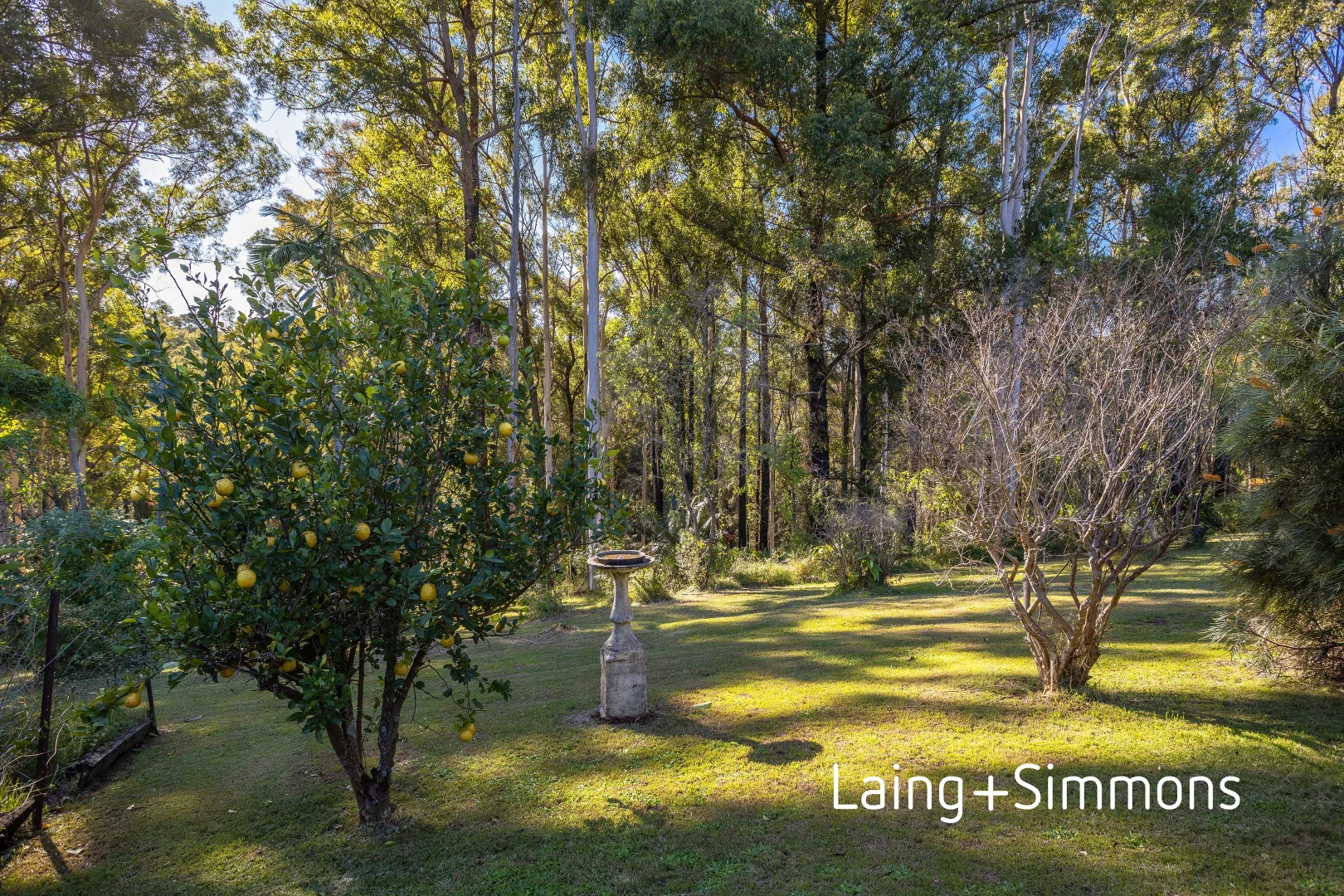 Additional image 22 of 37 Kiwarrak Drive, Rainbow Flat NSW 2430