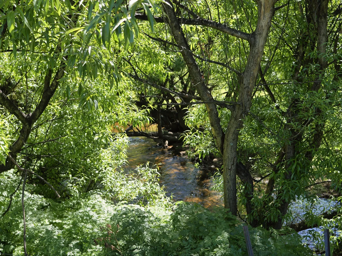 Additional image 5 of 569 St Columba Falls Road, Pyengana TAS 7216