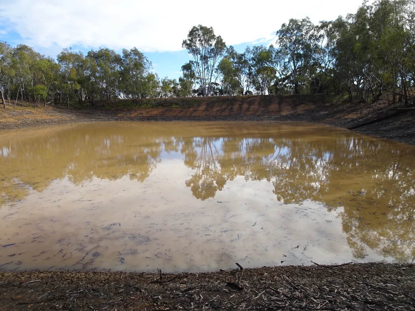 Additional image 6 of Shaddick Road, East Pingelly WA 6308