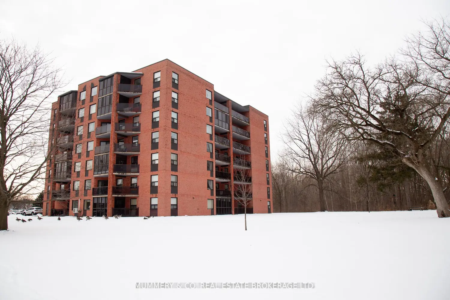 Additional image 2 of 5 Mill Pond Court 704