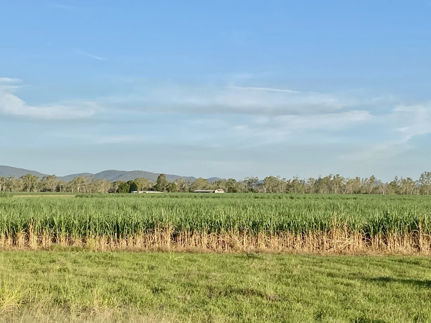 Additional image 12 of 5806 Ayr Dalbeg Road, Millaroo QLD 4807