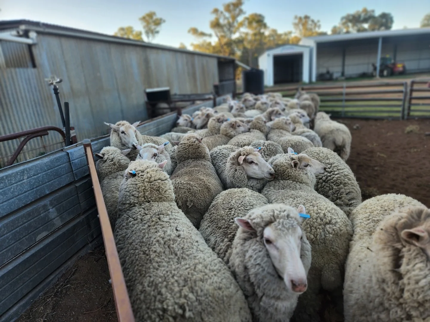 72 Boorr Hill Road, Parkes NSW 2870