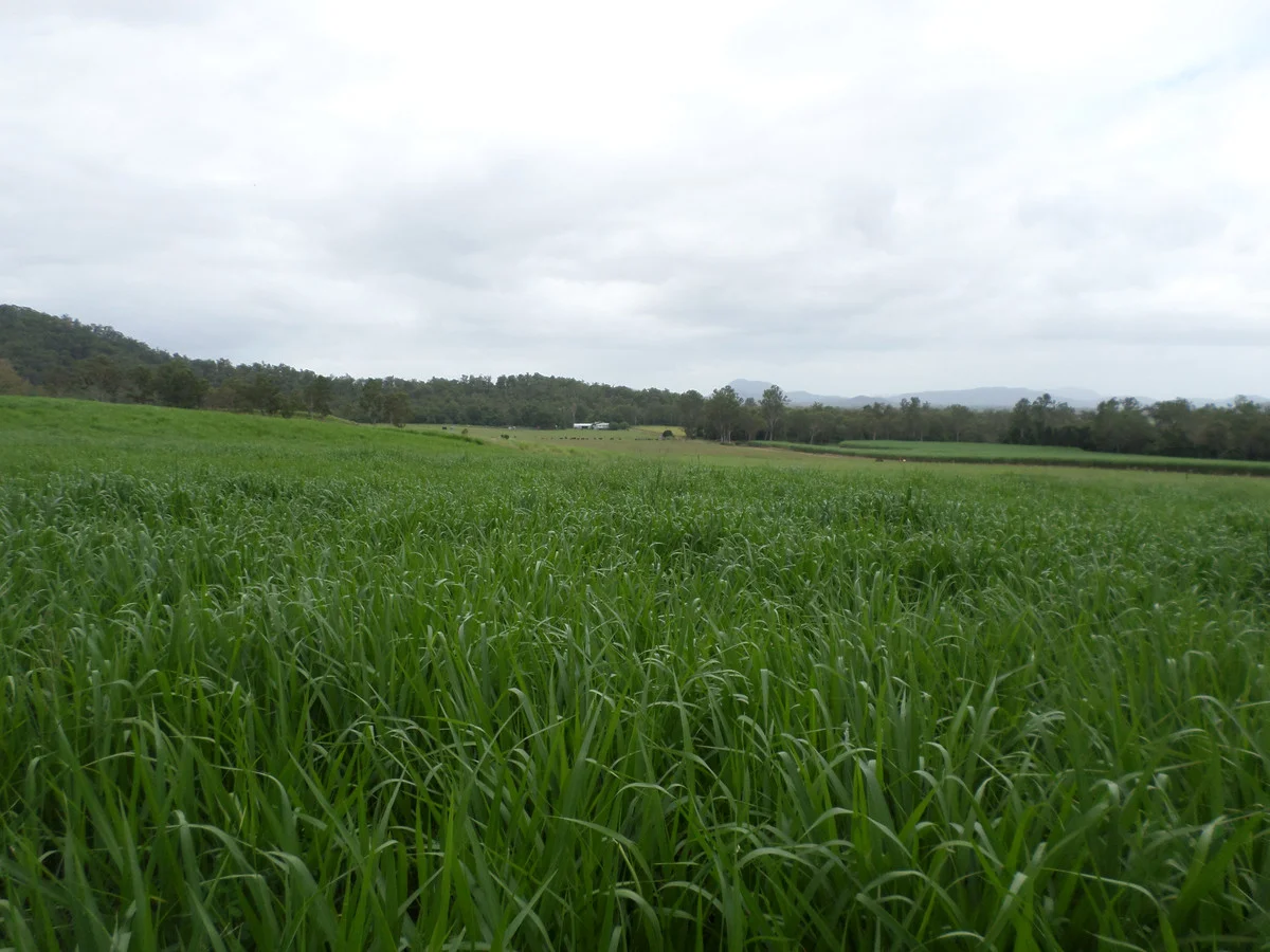 Additional image 5 of 109 Neilsen Omands Road, Septimus QLD 4754