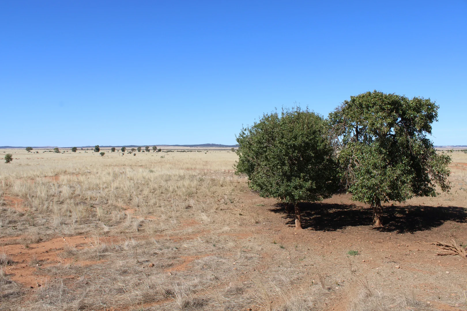 Additional image 6 of 1860 Cleary Road, Terowie SA 5421