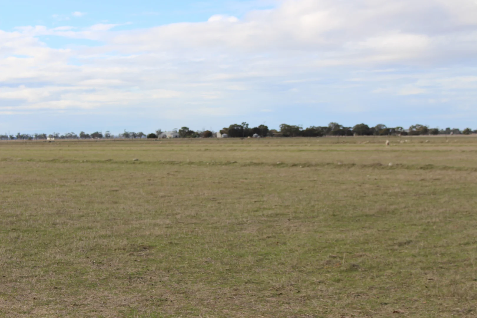 Additional image 3 of Proposed Allotment 11 Black Road, Keith SA 5267