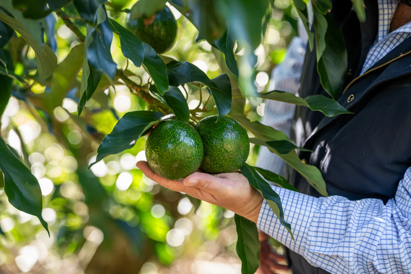 Additional image 18 of 'Ravensbourne Ridge' 45 Blanck Road, Ravensbourne QLD 4352