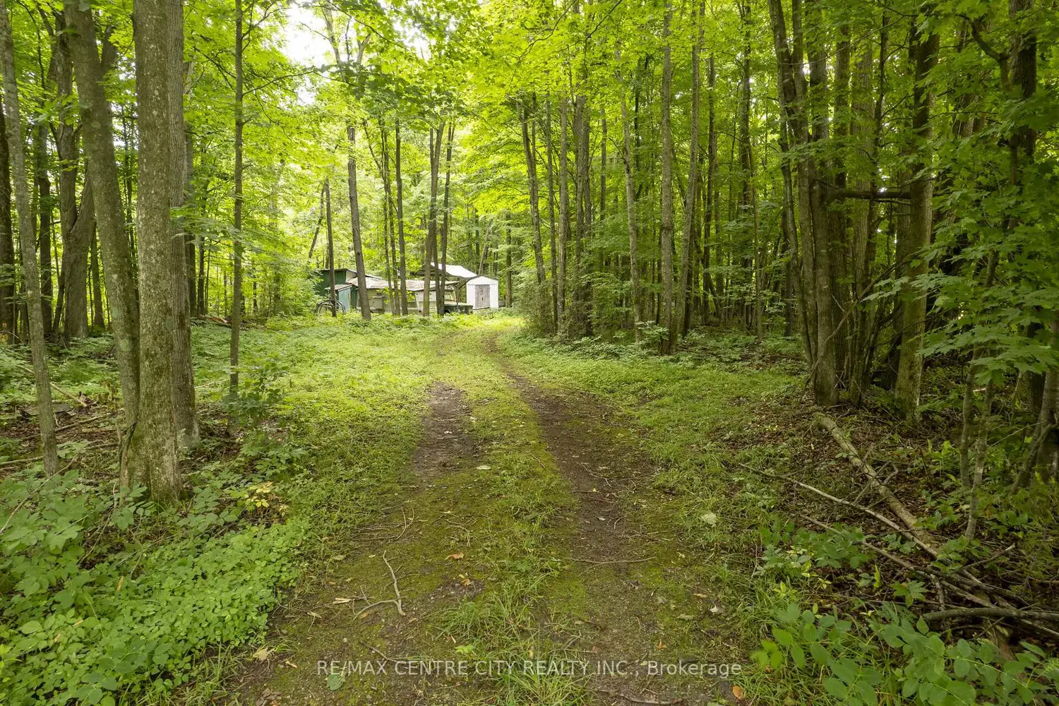 Additional image 8 of Pt Lt 6 Concession 8 Road