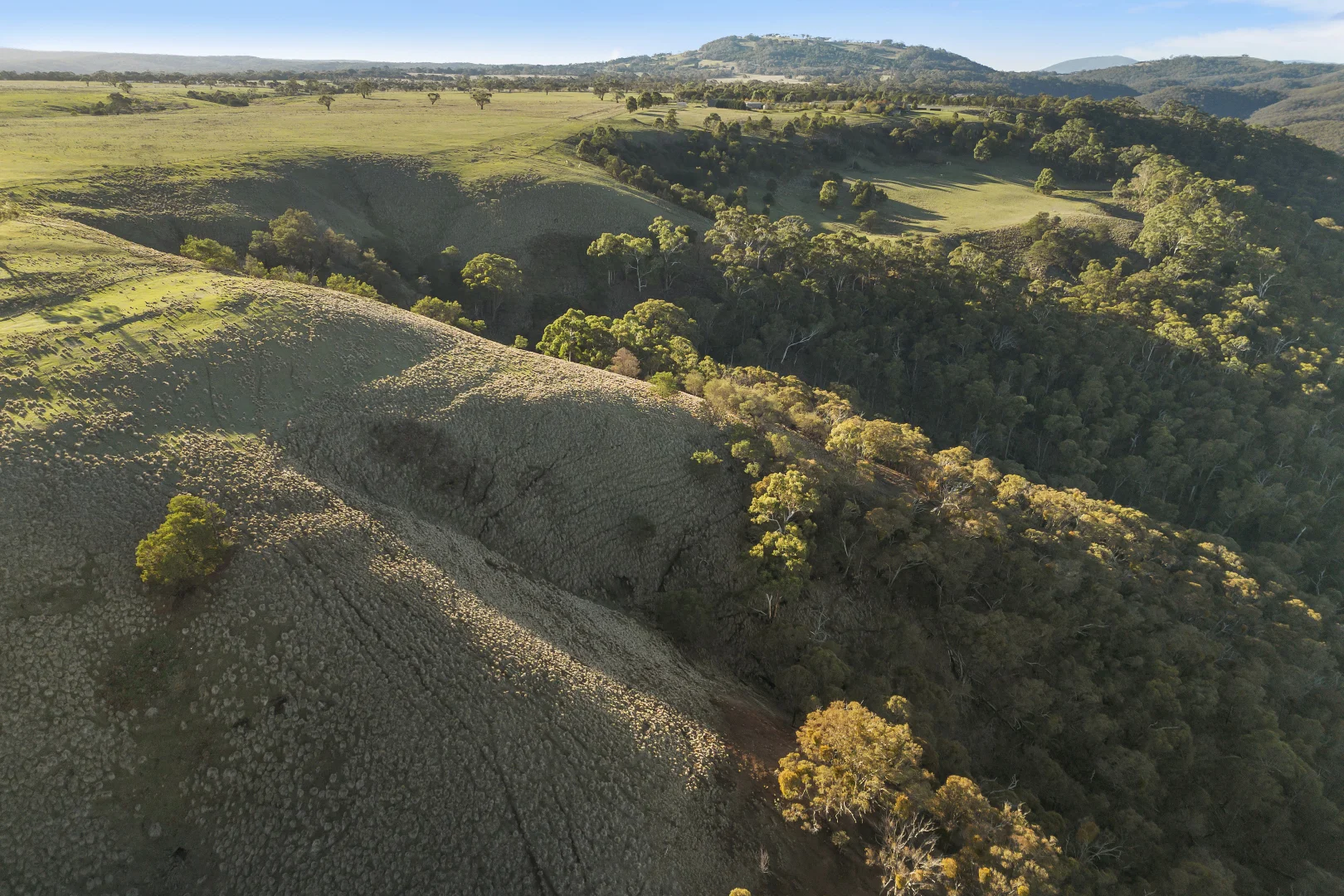 Additional image 11 of CA 22D & 22E Spotiswood Road, Bullengarook VIC 3437