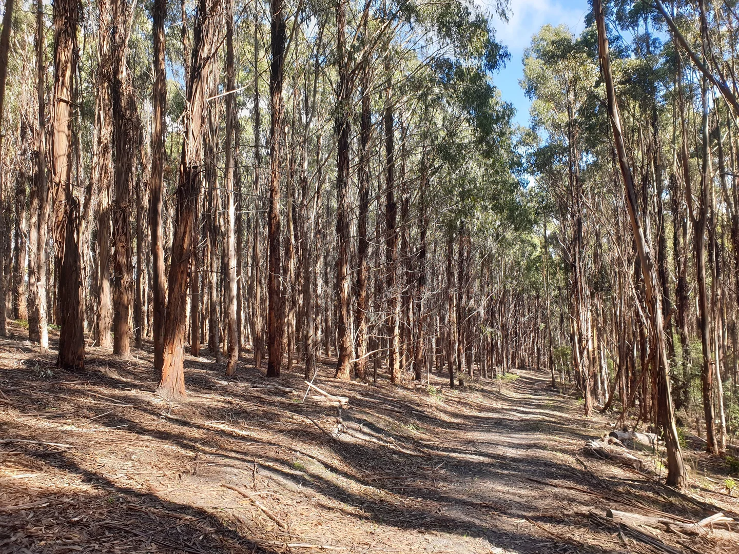 Additional image 11 of Lot 2 Huon Highway, Dover TAS 7117