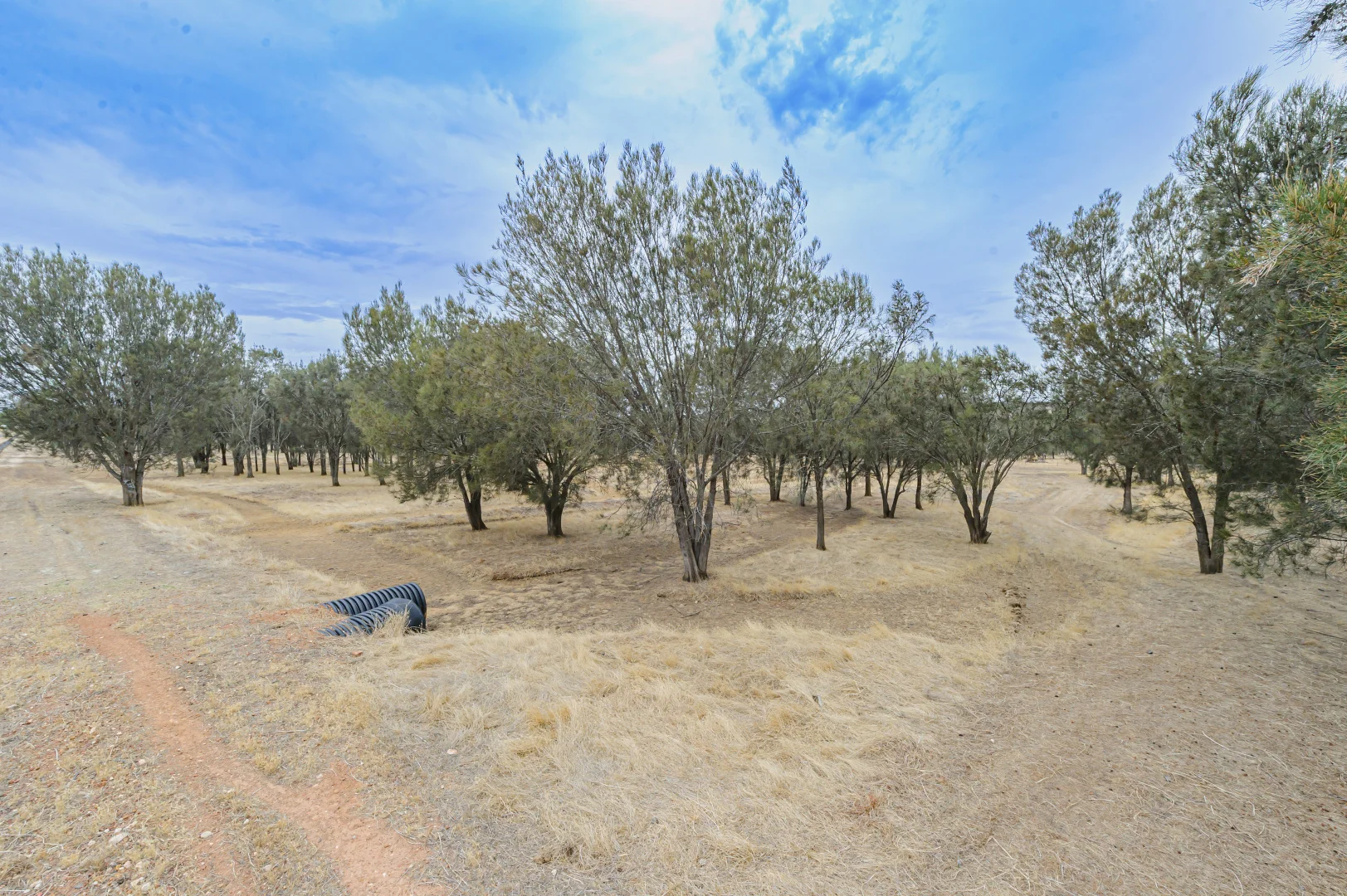 Additional image 27 of 188 Stock Road, Bullsbrook WA 6084