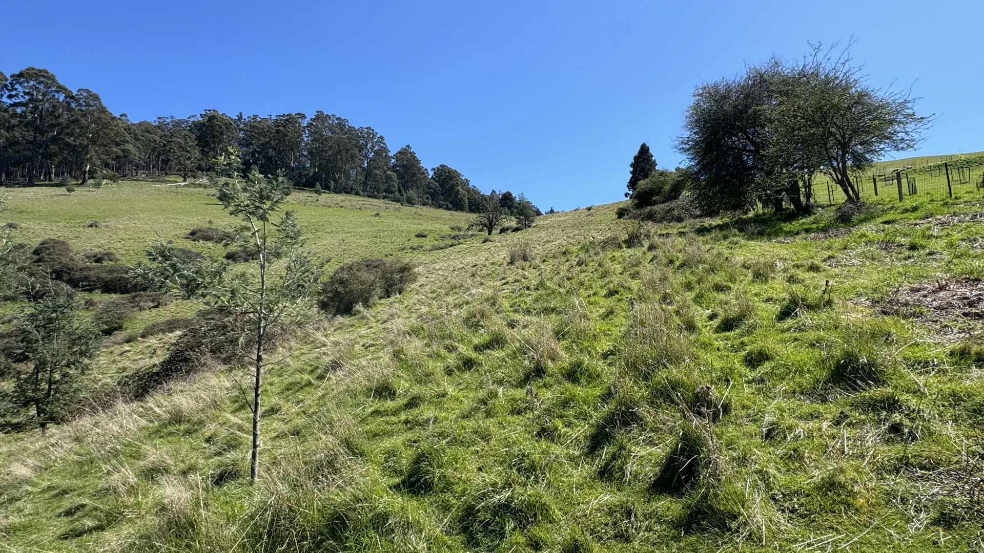 Additional image 29 of Lot 1 Walpole Lane, Franklin TAS 7113