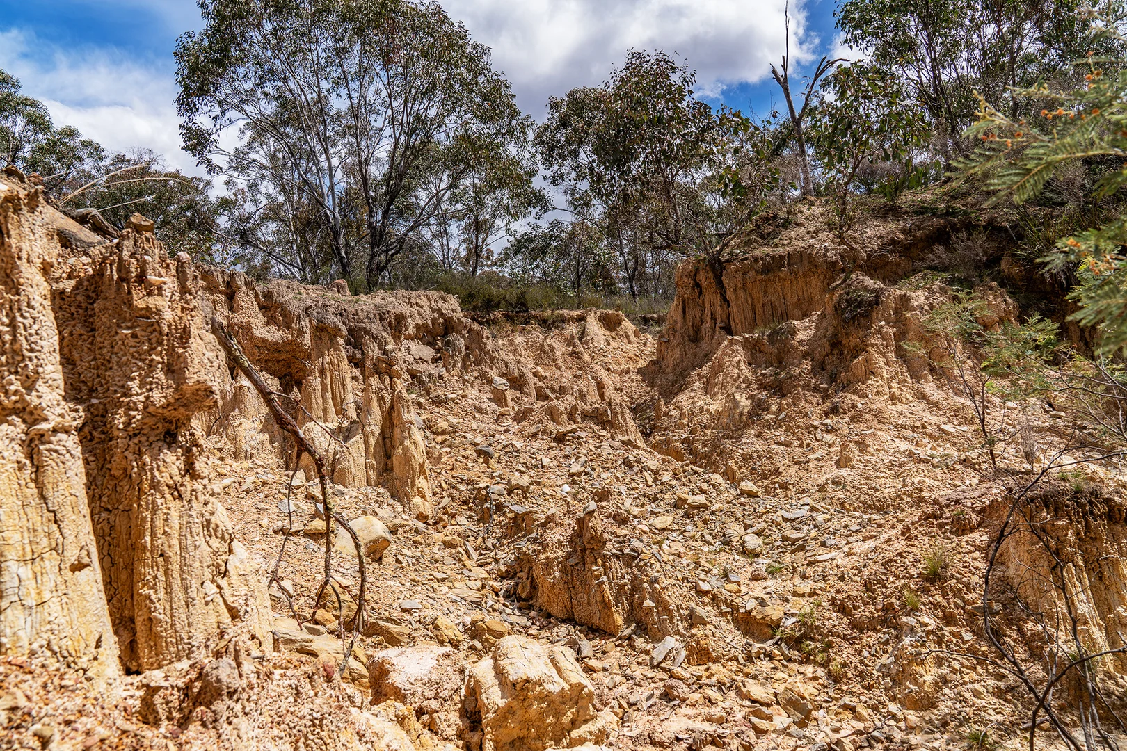 Additional image 9 of 125 Dirt Hole Creek Road, Mudgee NSW 2850