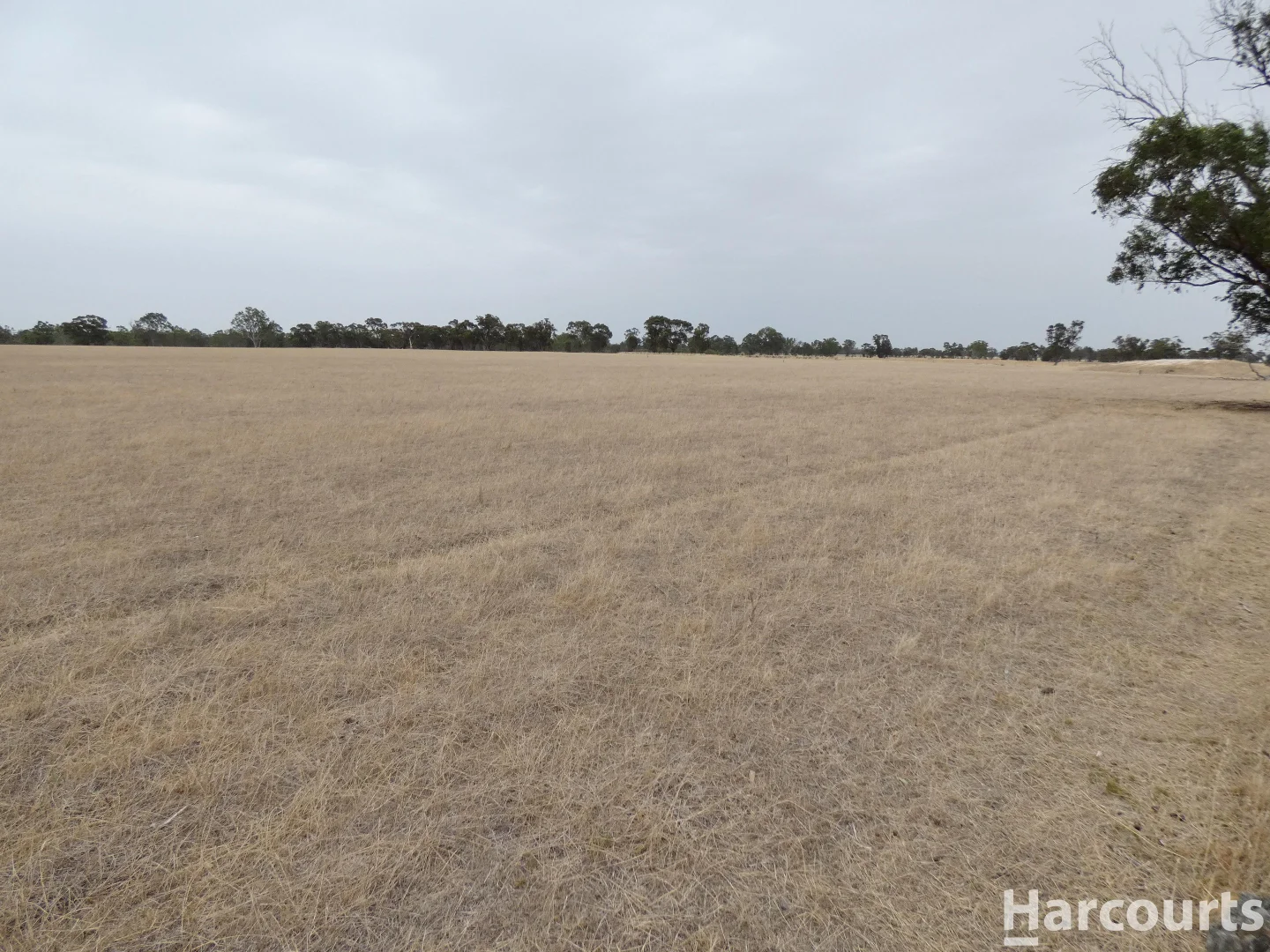 Additional image 15 of . Elliots Lane, Clear Lake VIC 3409