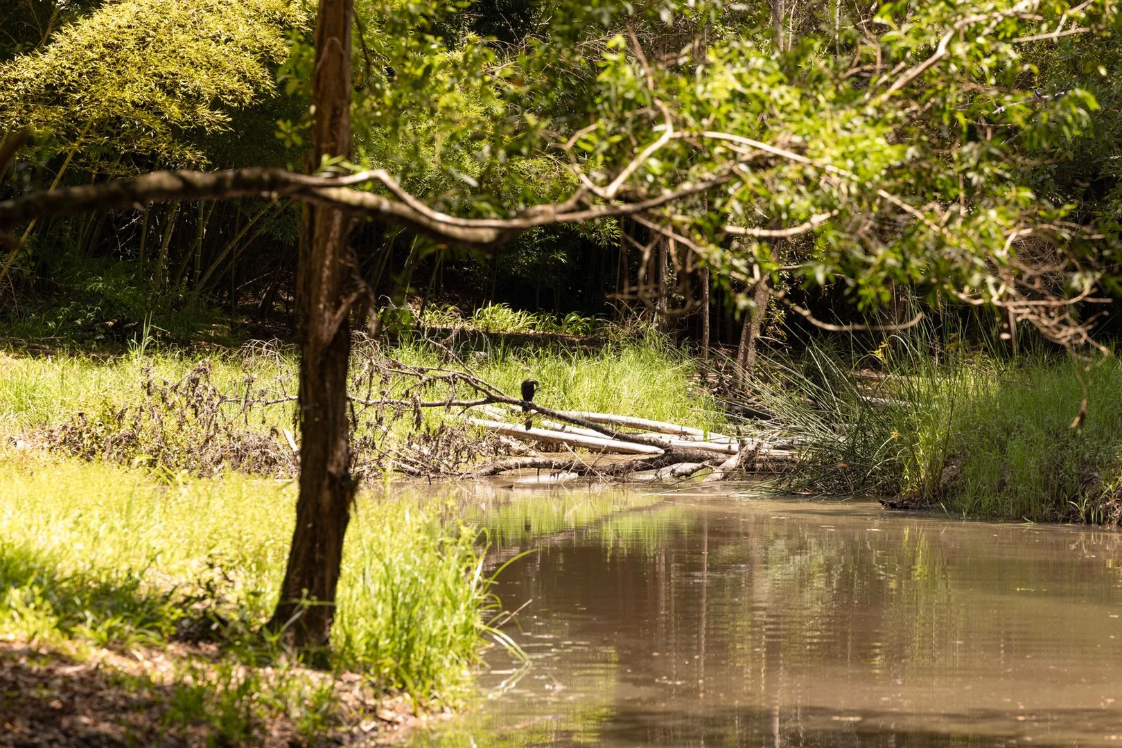 Additional image 15 of 1171 Eumundi - Kenilworth Road, Belli Park QLD 4562