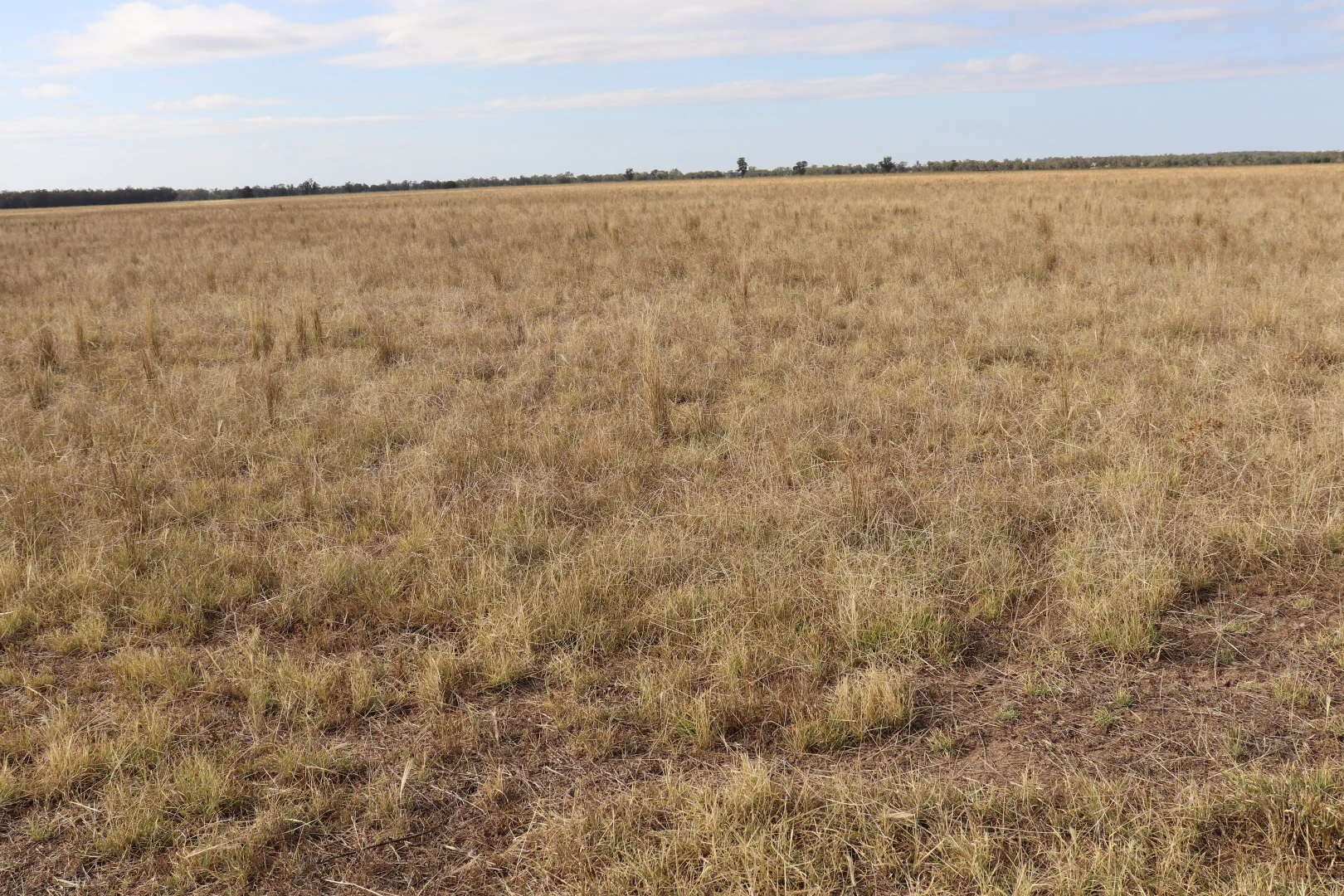 Additional image 32 of 72 Boorr Hill Road, Parkes NSW 2870