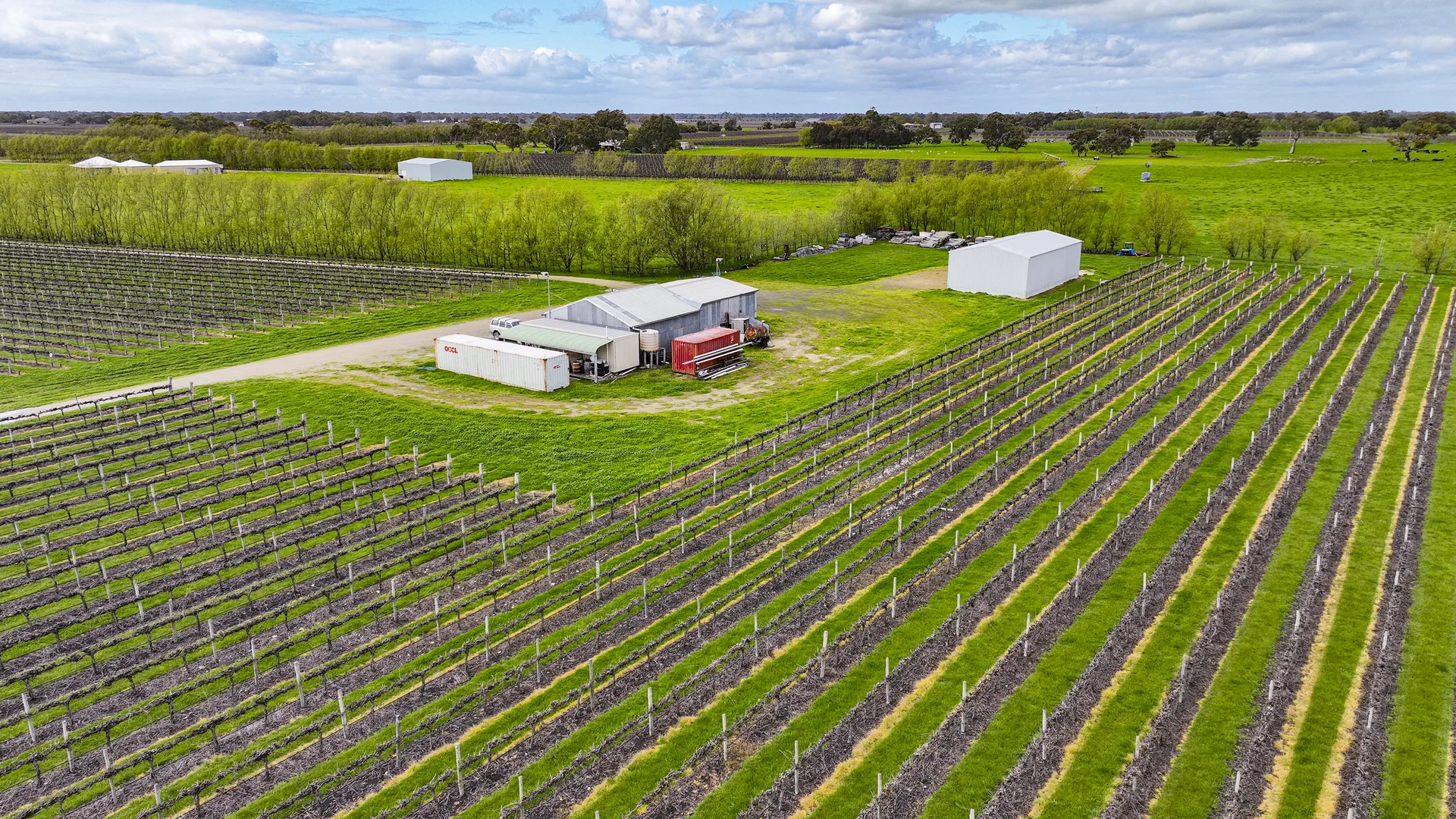 Additional image 17 of LOT 102, Bond Road, Penola SA 5277