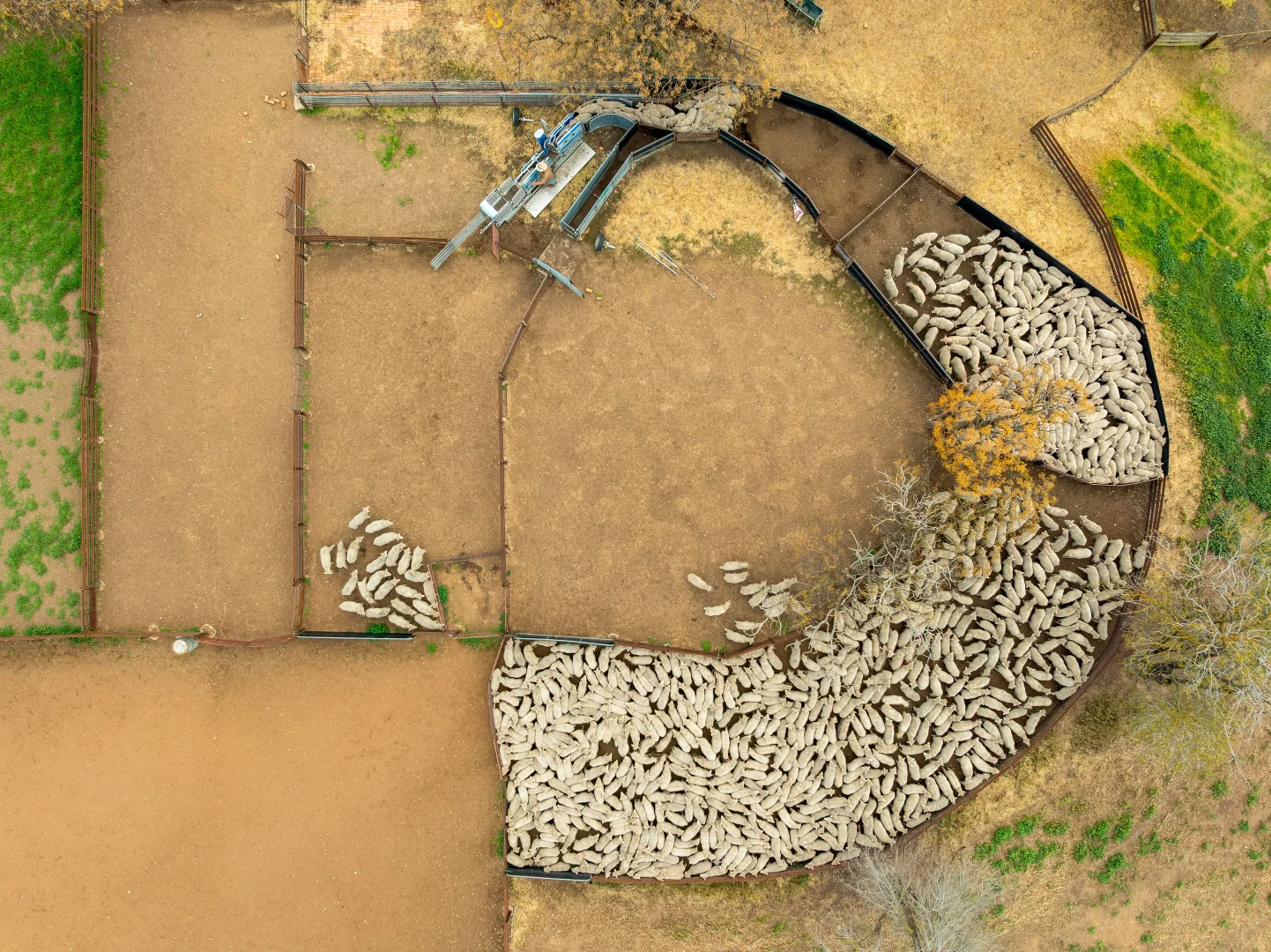 Additional image 9 of 90 Kilnyana Road, Savernake NSW 2646