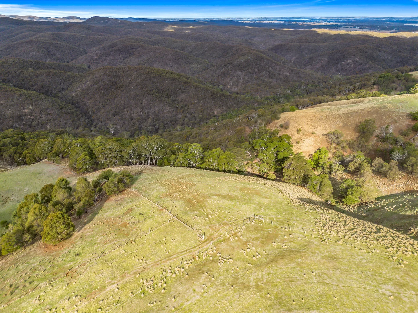 Additional image 5 of CA 22D & 22E Spotiswood Road, Bullengarook VIC 3437
