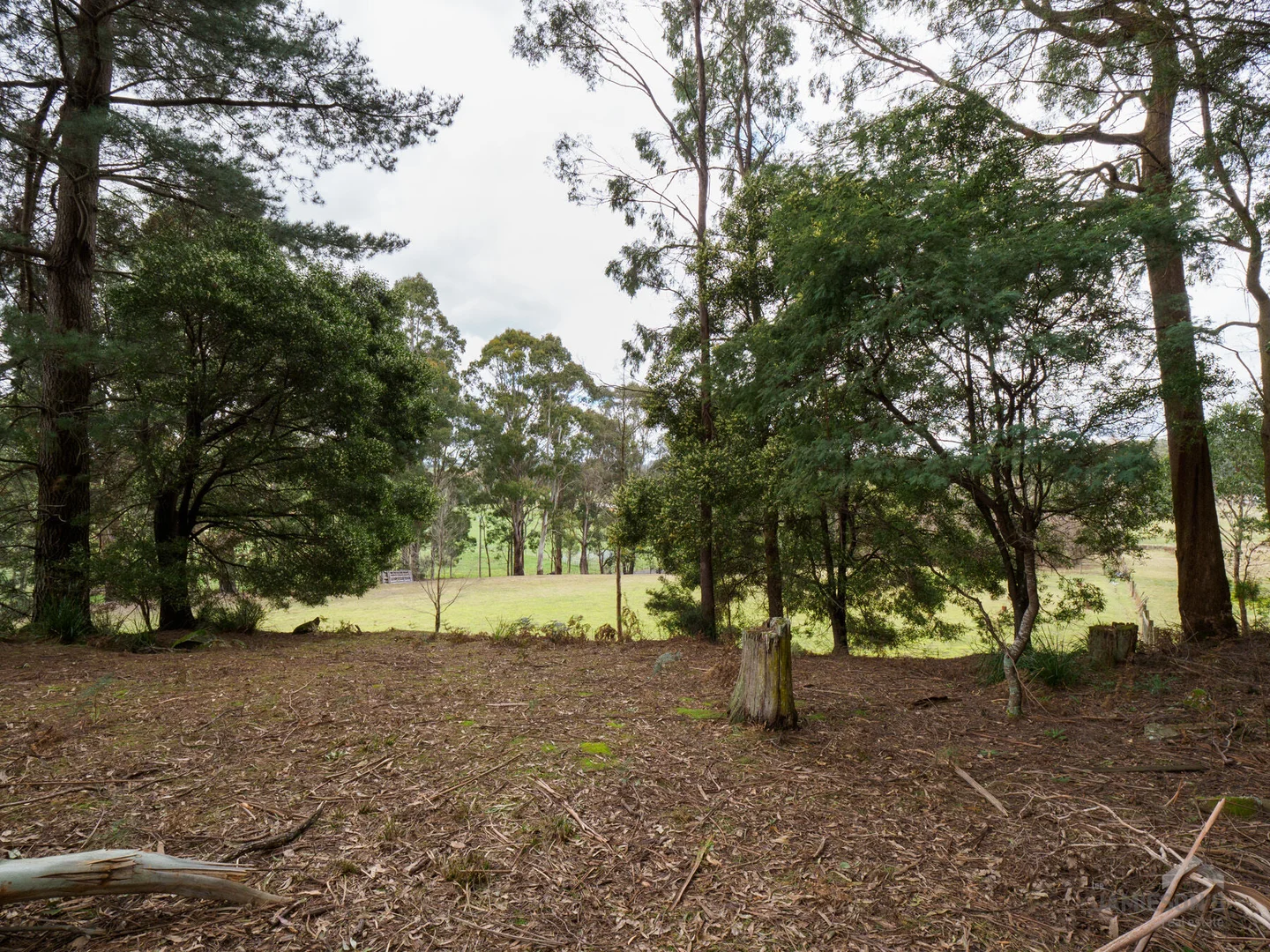 Additional image 10 of 493 Weetah Road, Weetah TAS 7304