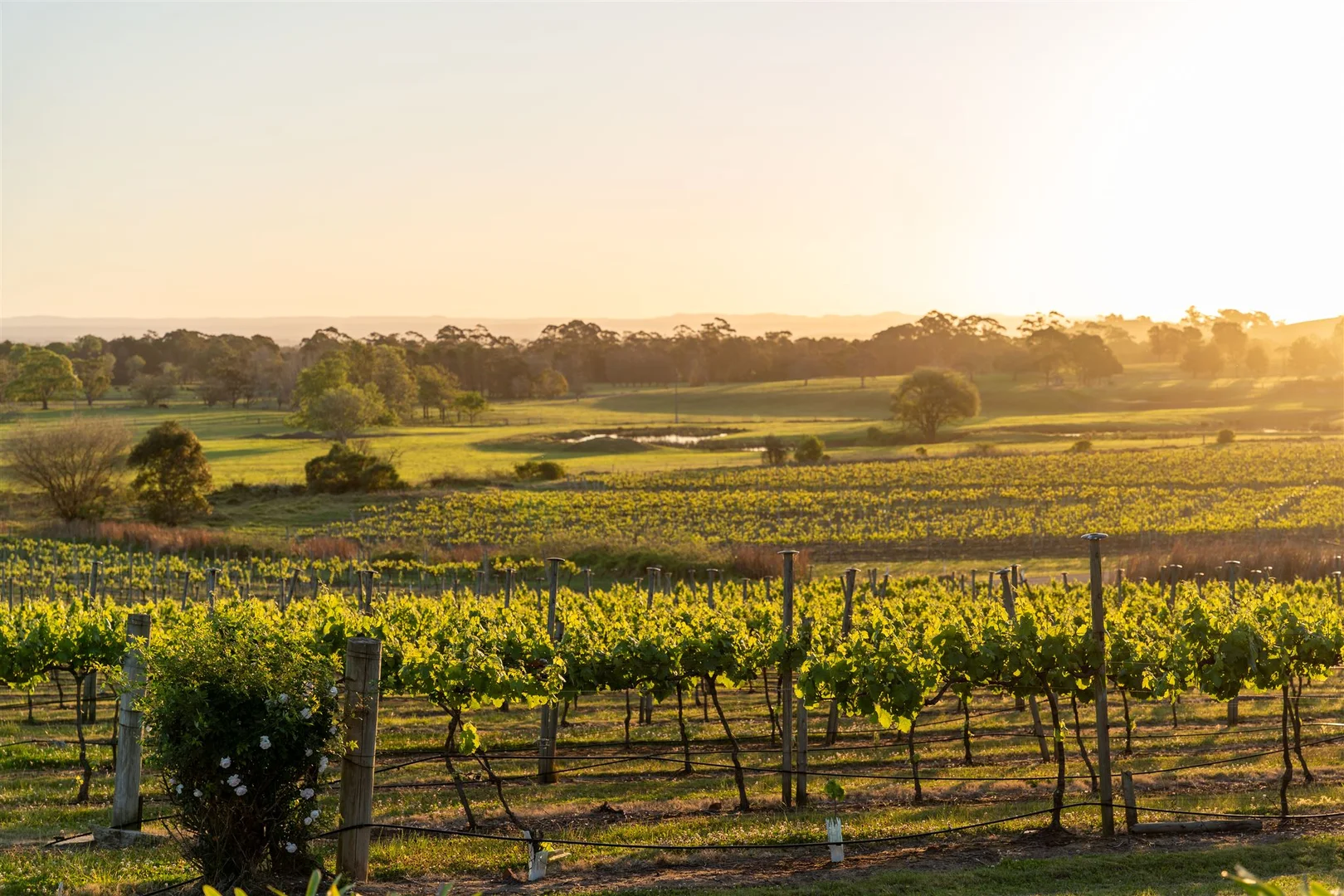 Additional image 7 of 1335 Bolong Road, Coolangatta NSW 2535