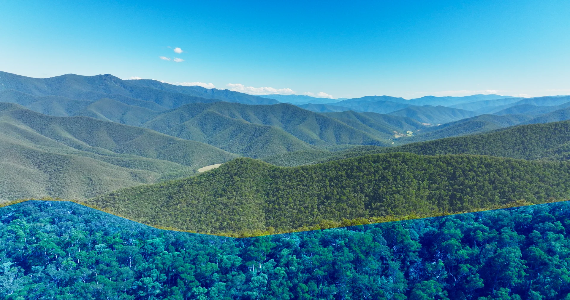 Additional image 15 of CA 9 Sec 20 Wonnangatta Road, Dargo VIC 3862