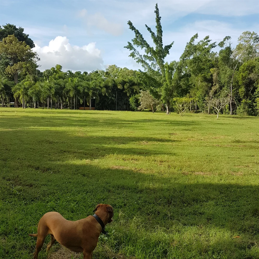 Additional image 20 of 29 Railway Avenue, Cooktown QLD 4895