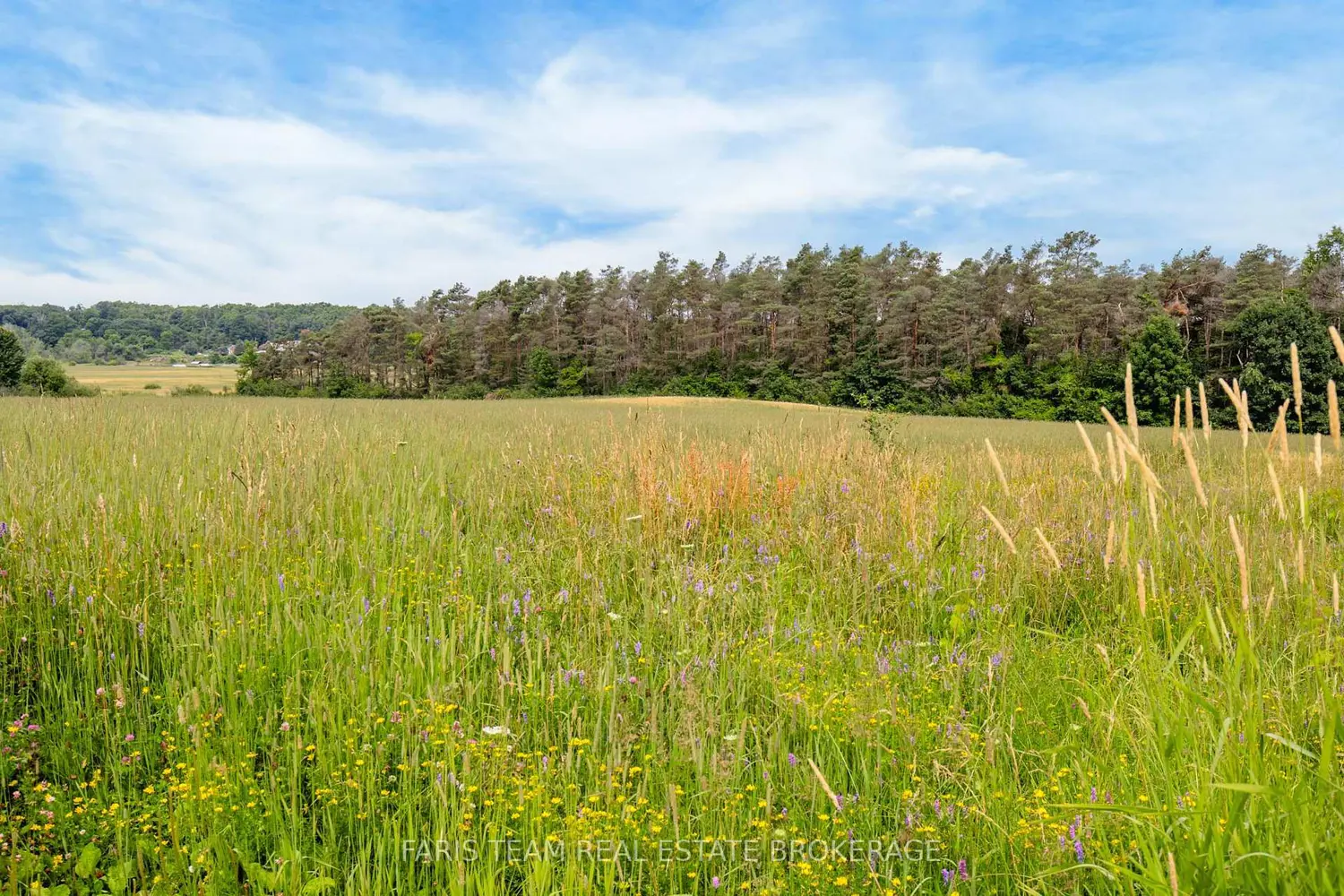 Additional image 7 of 570 Curry Road