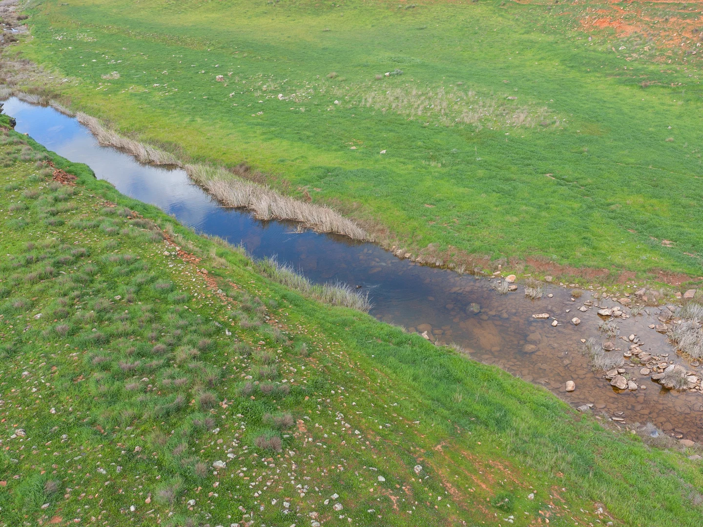 Additional image 17 of 2489 R M Williams Way, Spalding SA 5454