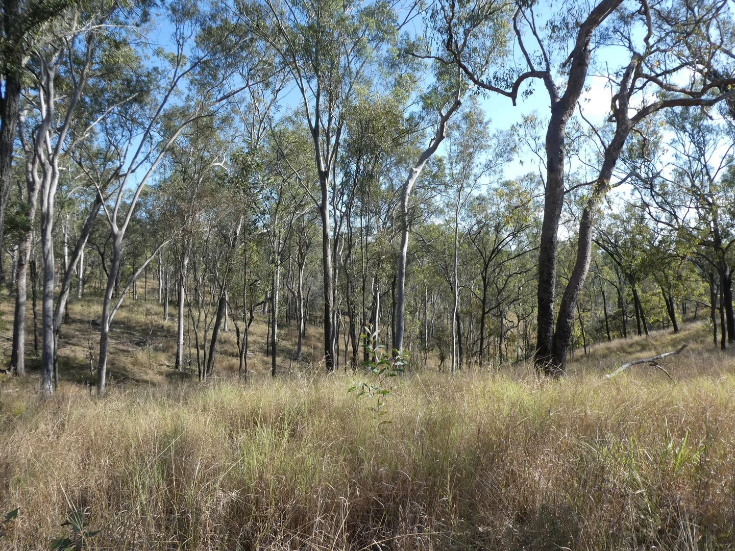 Additional image 10 of Lot 14 Monto Mount Perry Road, Mungy QLD 4671