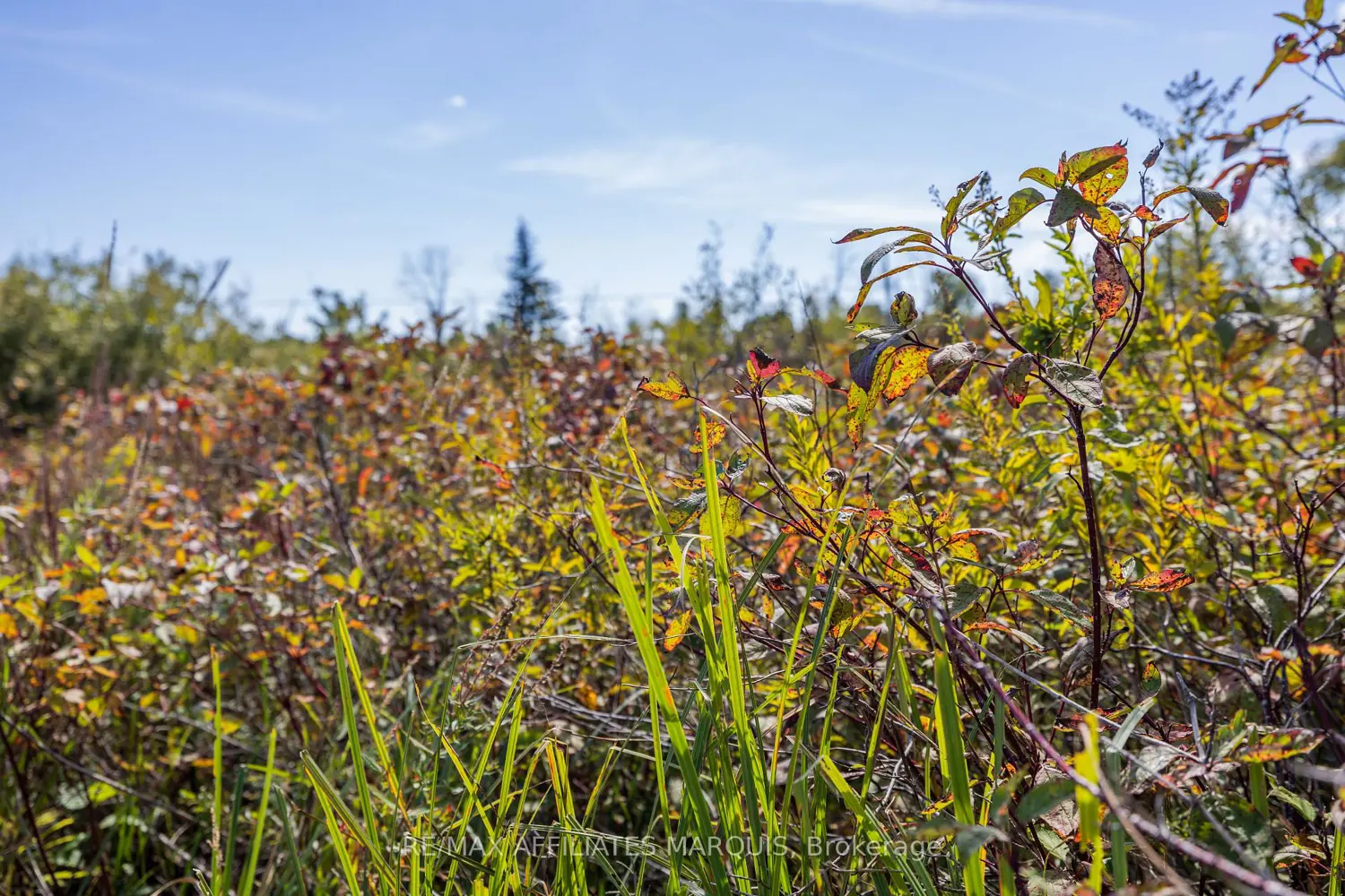 Additional image 8 of 19112 Hwy 7 Highway
