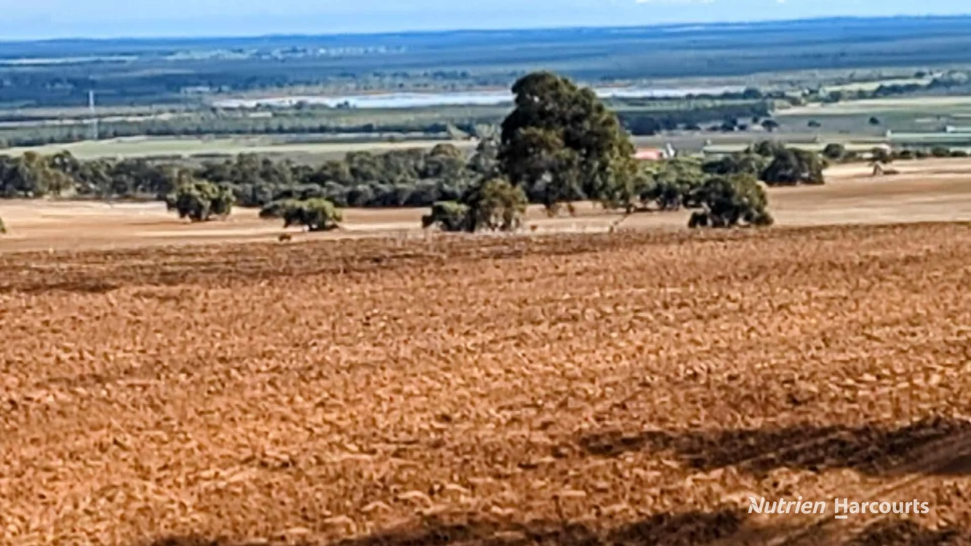 Additional image 18 of 5428 Brand Highway, Boonanarring, Gingin WA 6503