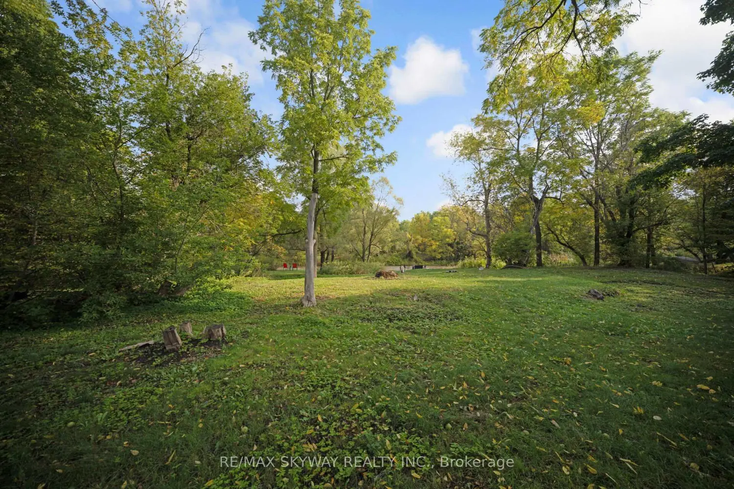 Additional image 12 of 45 Confederation Street