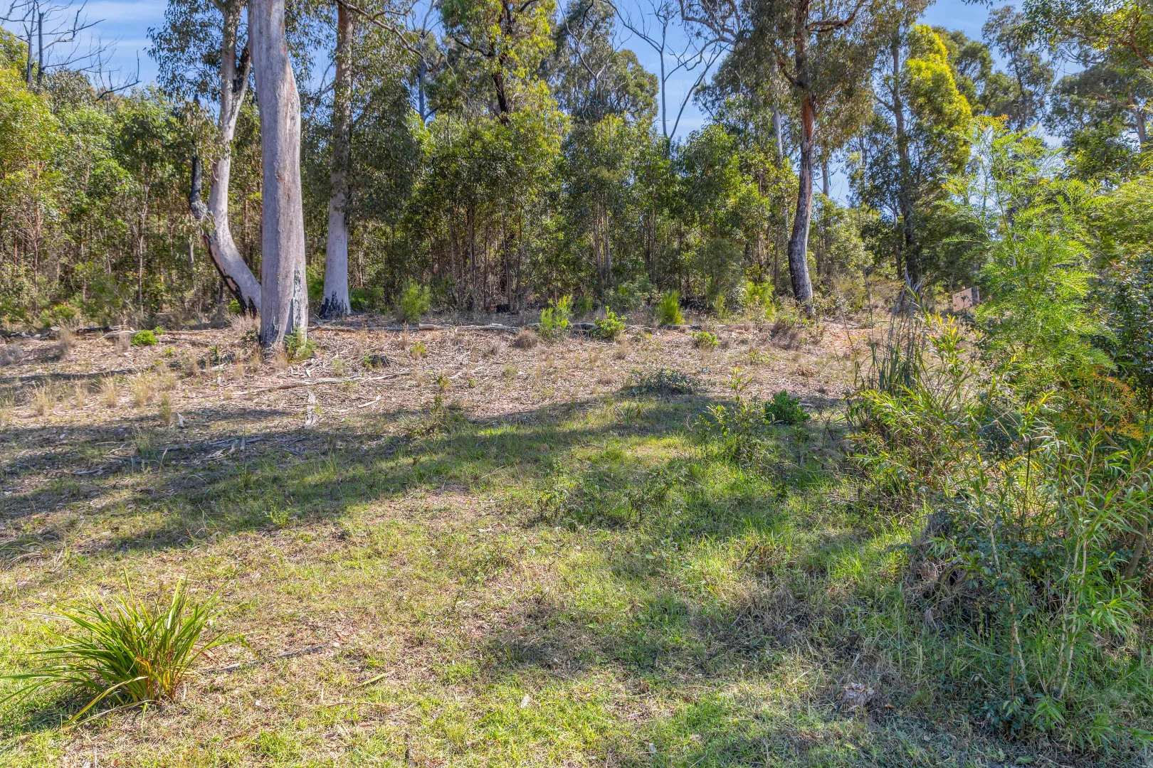 Additional image 10 of 5 Ocean View Terrace, Tathra NSW 2550