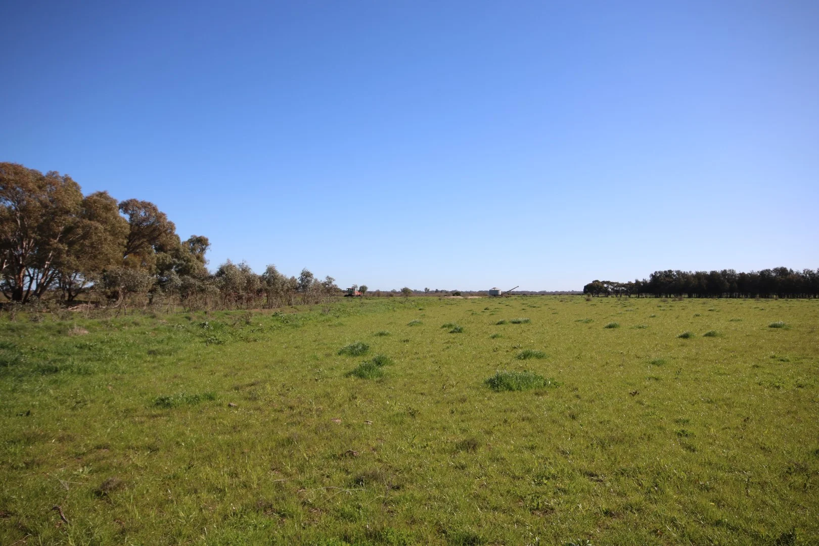 Additional image 15 of 221 Frosts Road, Canary Island VIC 3537