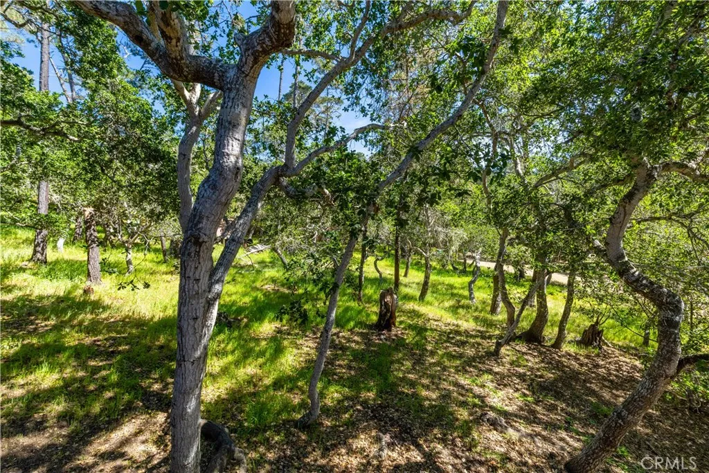 Additional image 93 of 1840 Langton Street, Cambria, CA 93428