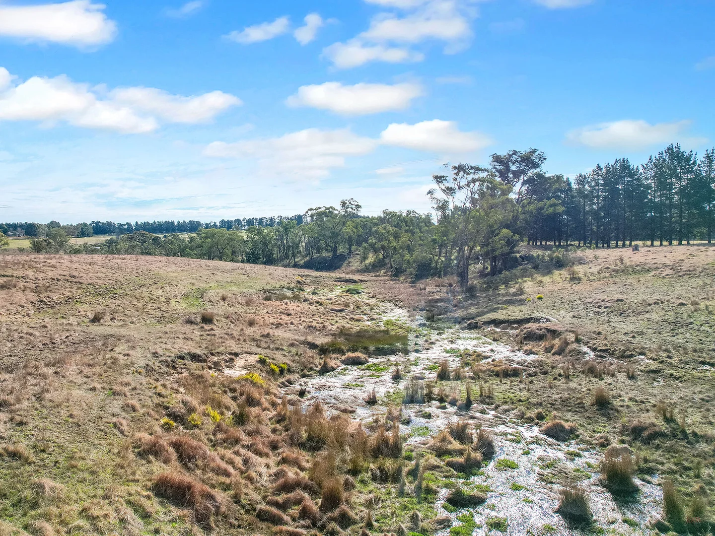 Additional image 22 of 551 Inverary Road, Paddys River NSW 2577