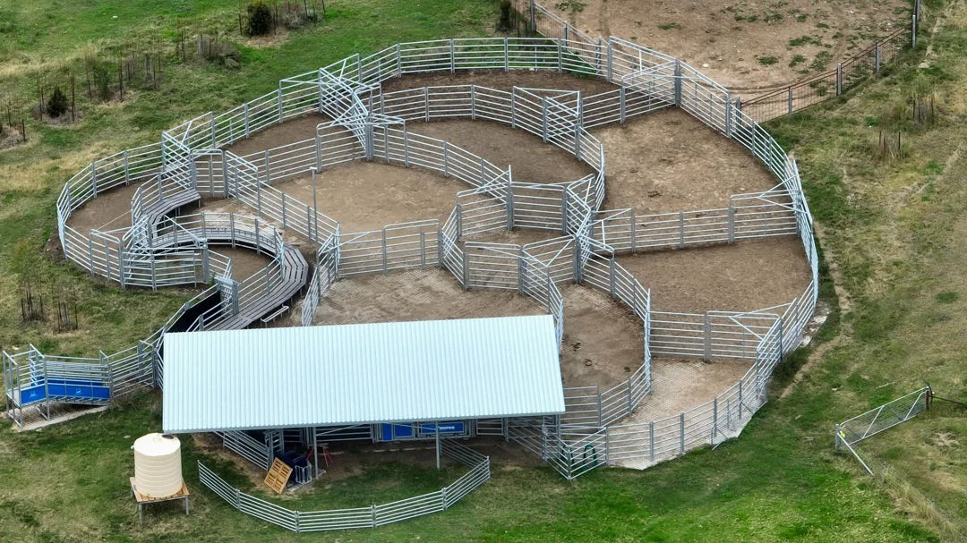 Additional image 23 of The Glen, Berrigal NSW 2390