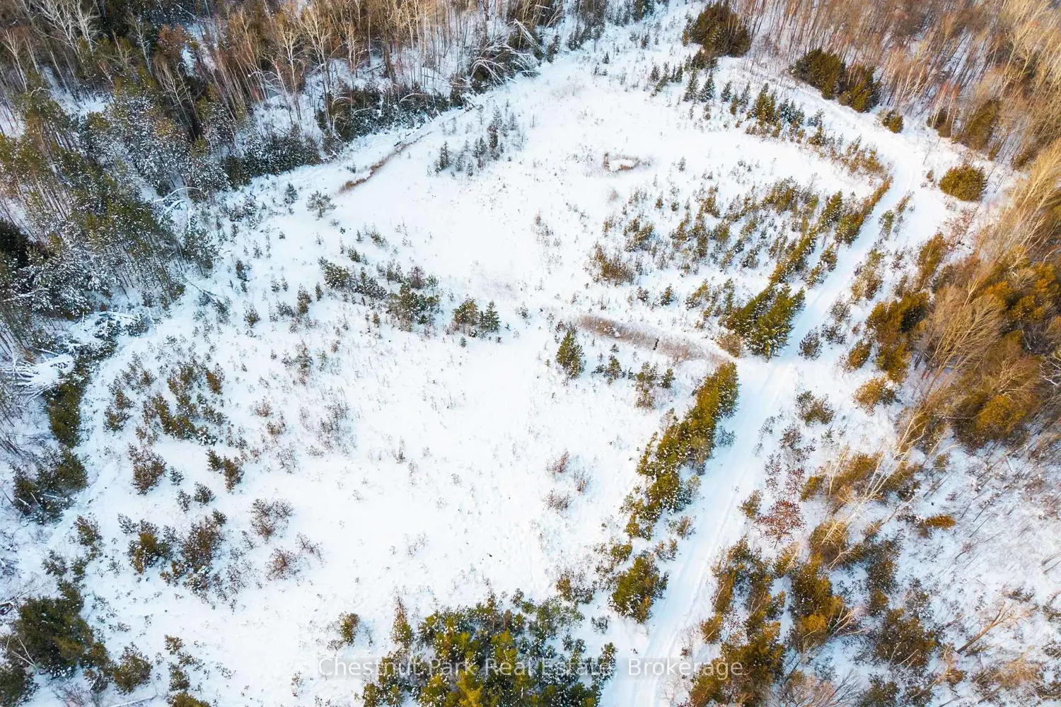 Additional image 10 of 2970 Fesserton Side Road