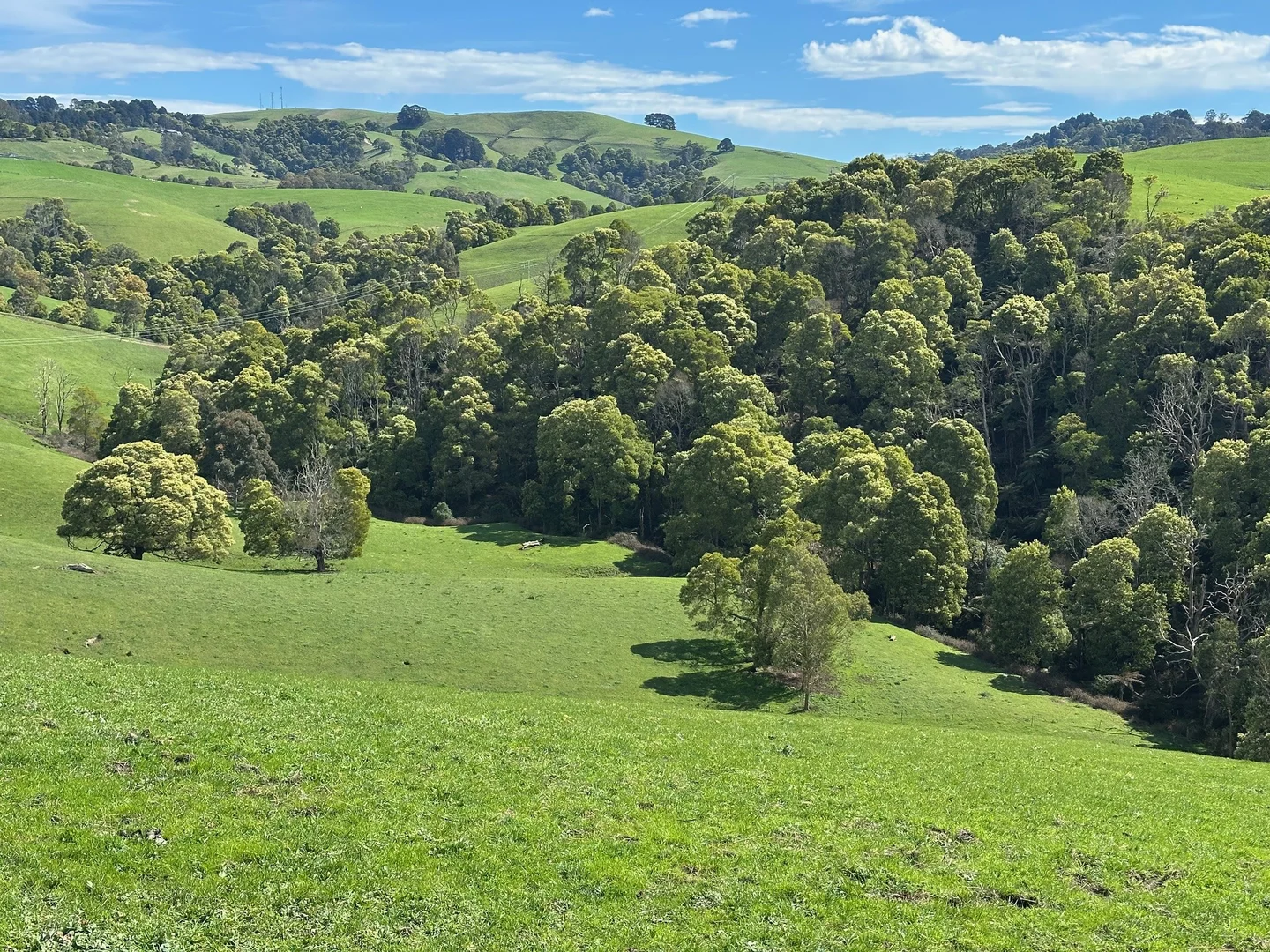 Additional image 7 of 3655 South Gippsland Highway, Foster VIC 3960