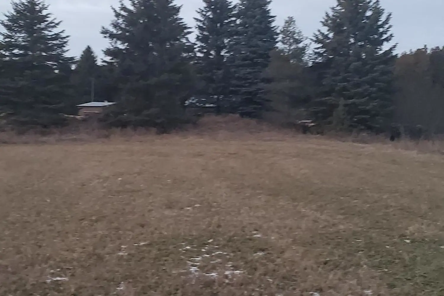 Additional image 9 of 0 Cole Road